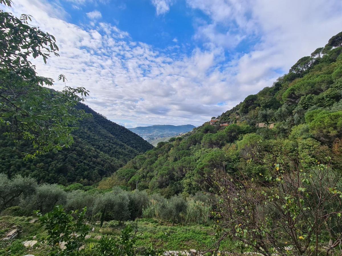 Castrusso Il Frantoio Di Rapallo By Portofinovacanze Eksteriør bilde