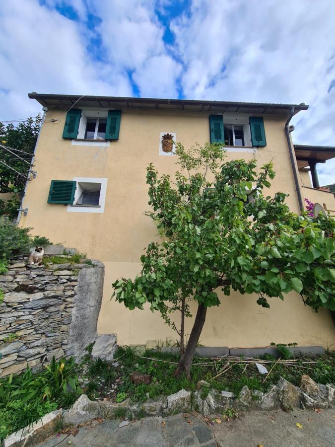 Castrusso Il Frantoio Di Rapallo By Portofinovacanze Eksteriør bilde