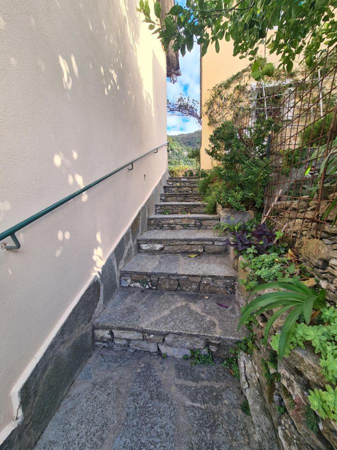 Castrusso Il Frantoio Di Rapallo By Portofinovacanze Eksteriør bilde